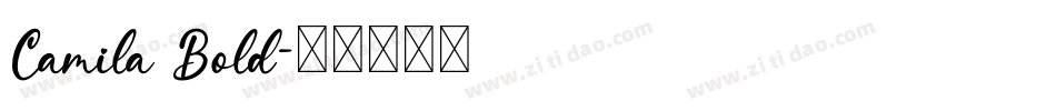 Camila Bold字体转换